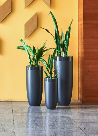 Plant Pots Online